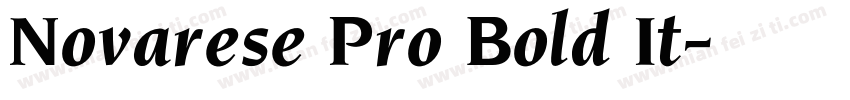 Novarese Pro Bold It字体转换